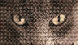 Cross-stitch pattern "Brown Cat"