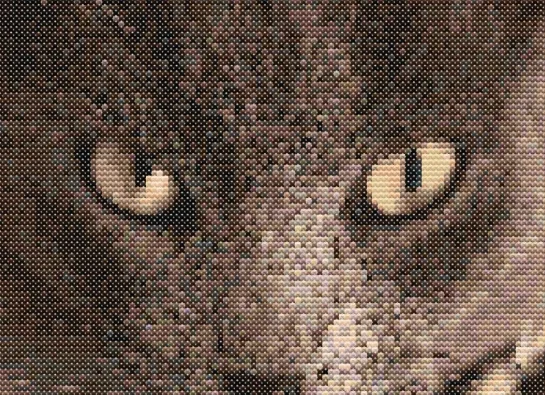 Cross-stitch pattern "Brown Cat"