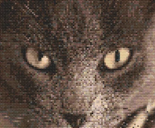 Cross-stitch pattern "Brown Cat"
