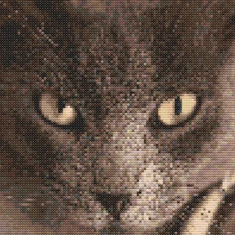 Схема вишивки хрестиком “Багато овочів”