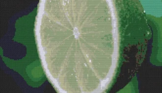 Схема вишивки хрестиком "Половинка лайму"