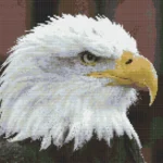 Cross-stitch pattern "Eagle"