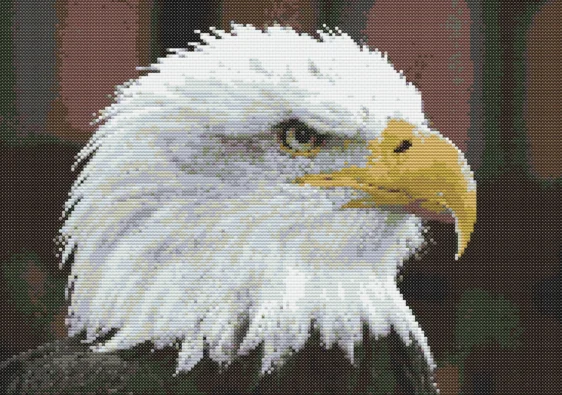 Cross-stitch pattern "Eagle"