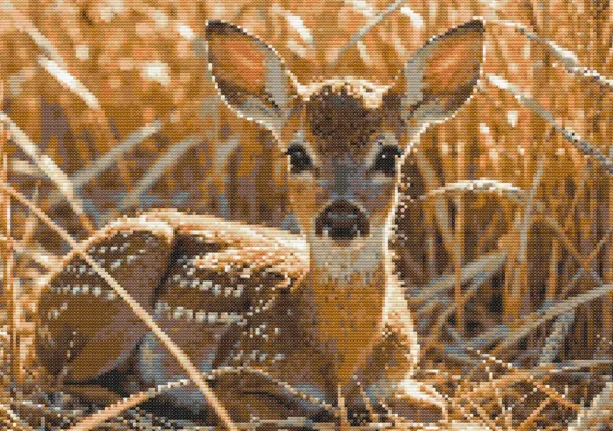Cross-stitch pattern: "Fawn in the wheat"