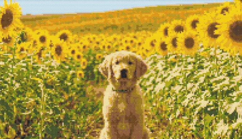 Cross-stitch pattern: "Golden retriever in sunflowers"