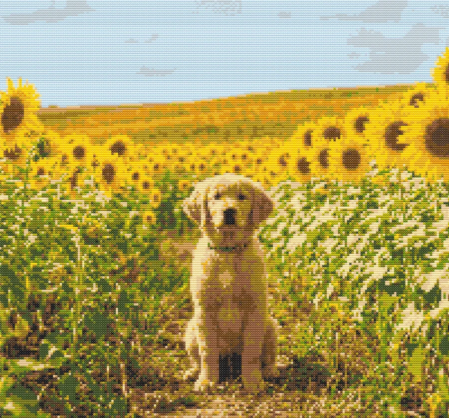 Cross-stitch pattern of a puppy in sunflowers